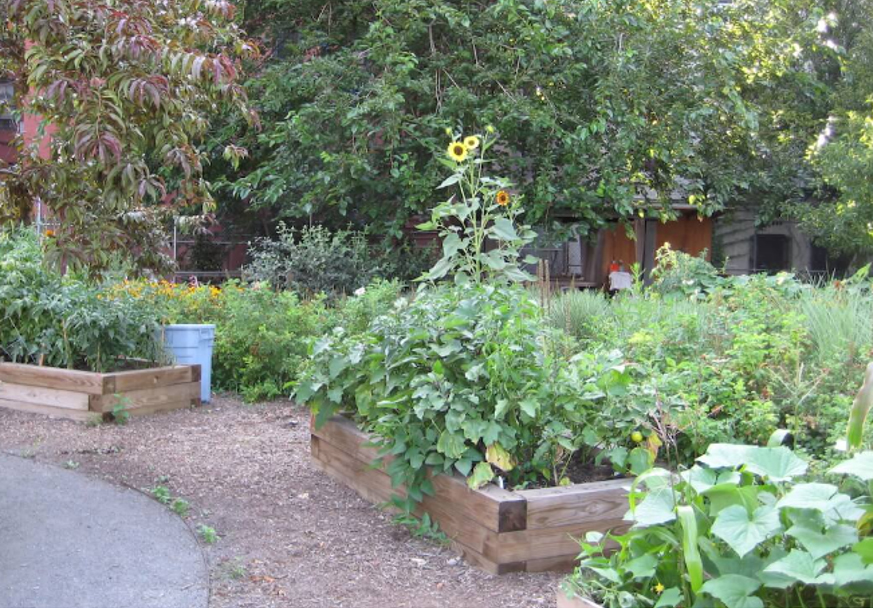 A garden view of The Mildred T. Rhodebeck Garden of Eden at the corner of Bruckner Boulevard and Faile Street in the Bronx. Photo Credit: NYRP.org